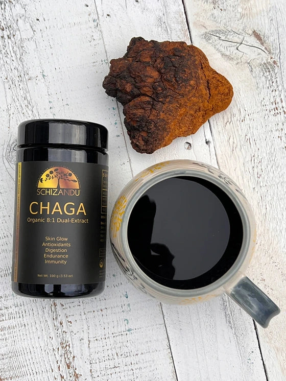 CHAGA Mushroom Extract 8:1, organic