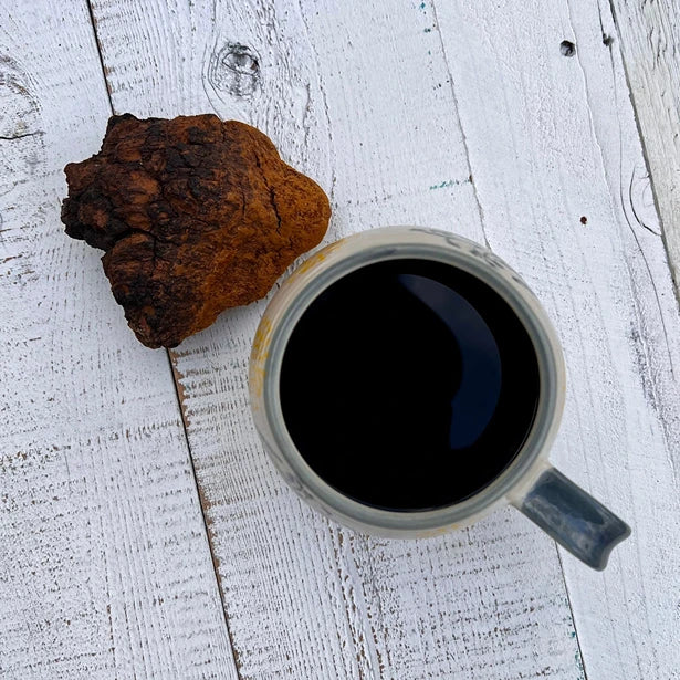 CHAGA Mushroom Extract 8:1, organic