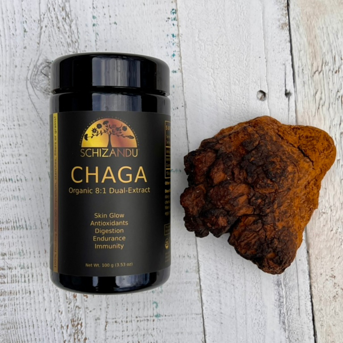 CHAGA Mushroom Extract 8:1, organic